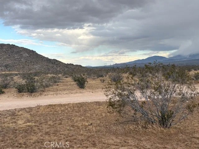 0 Del Oro