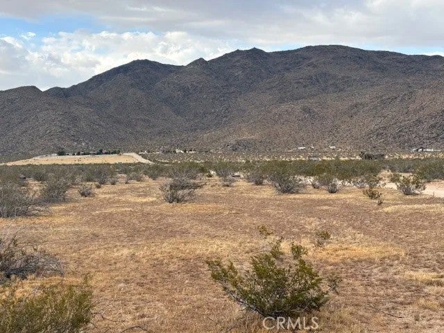 0 Del Oro
