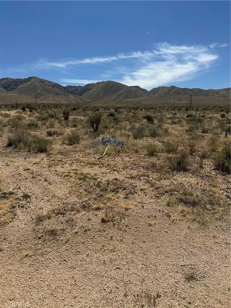 0 Laramie
