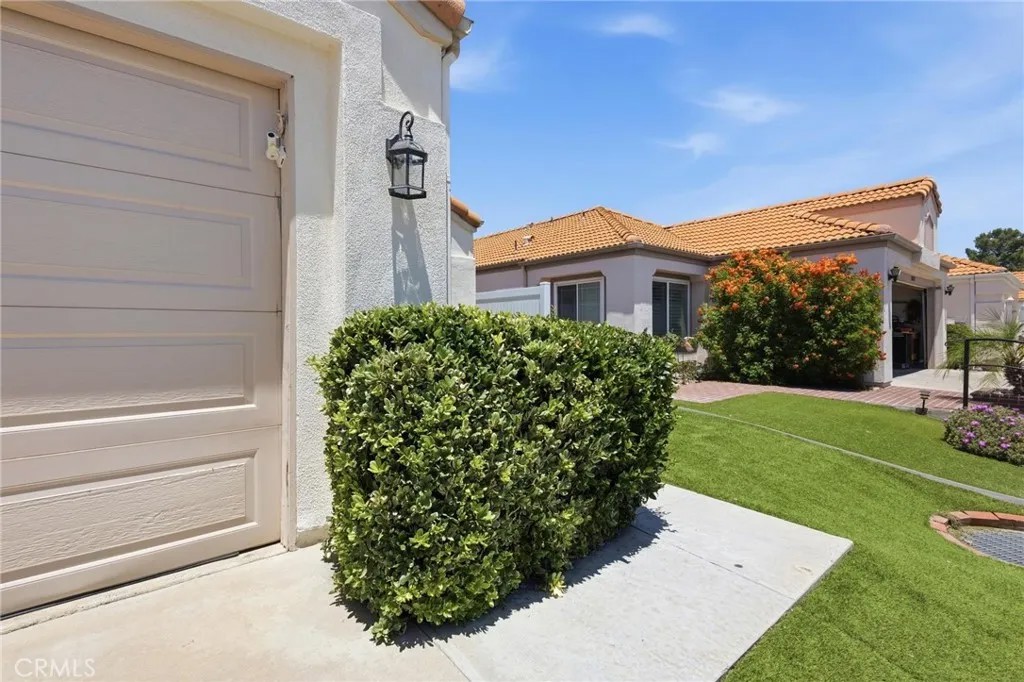 28081 Orangegrove