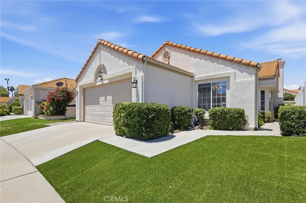 28081 Orangegrove