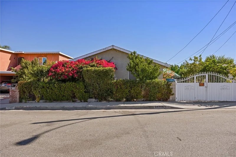 24746 Spruce