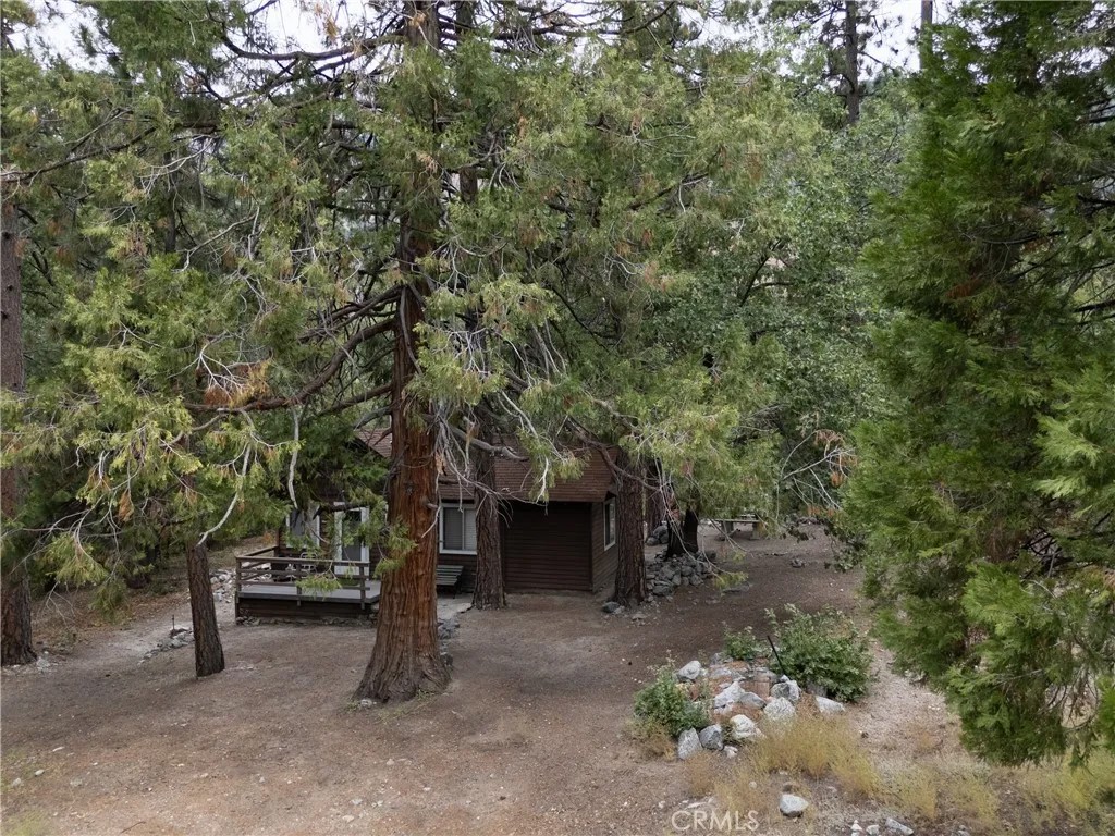 9165 Coffey Road