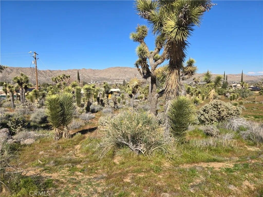 Photo of 55000 Bunny, Yucca Valley, CA 92284 (MLS # JT26033697)
