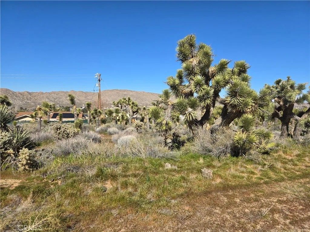 Photo of 55000 Bunny, Yucca Valley, CA 92284 (MLS # JT26033697)