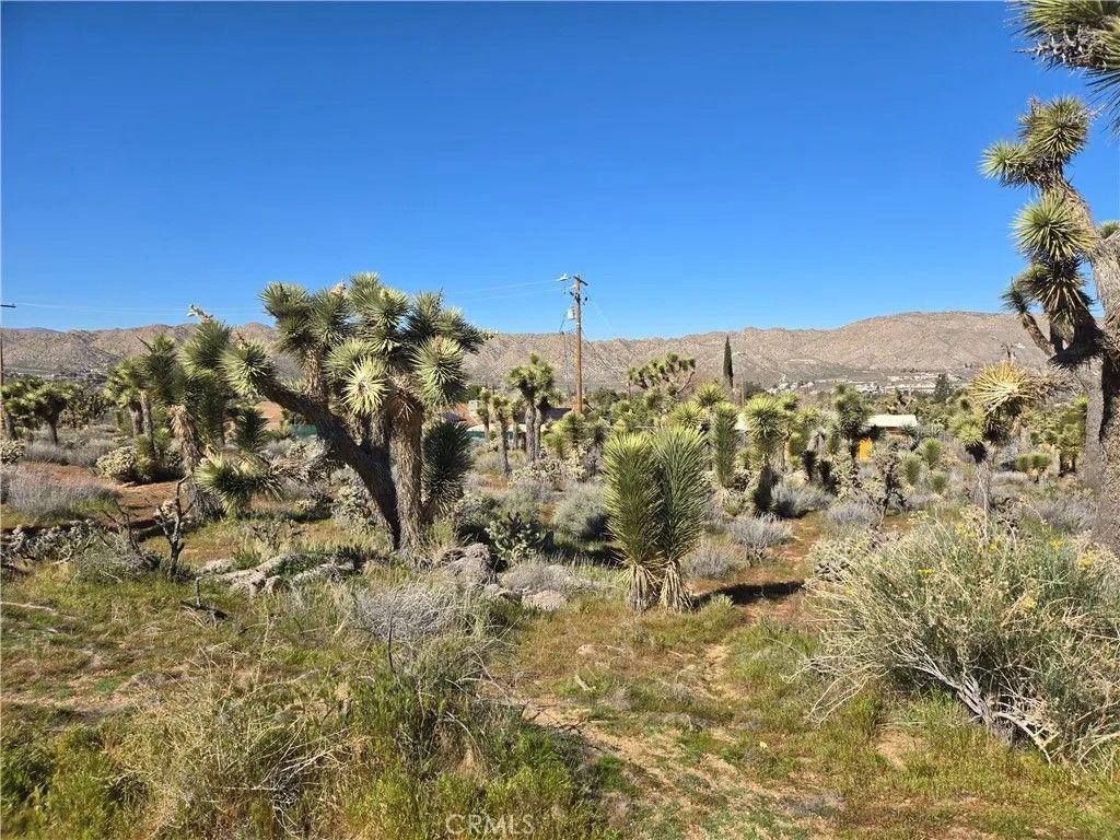 Photo of 55000 Bunny, Yucca Valley, CA 92284 (MLS # JT26033697)