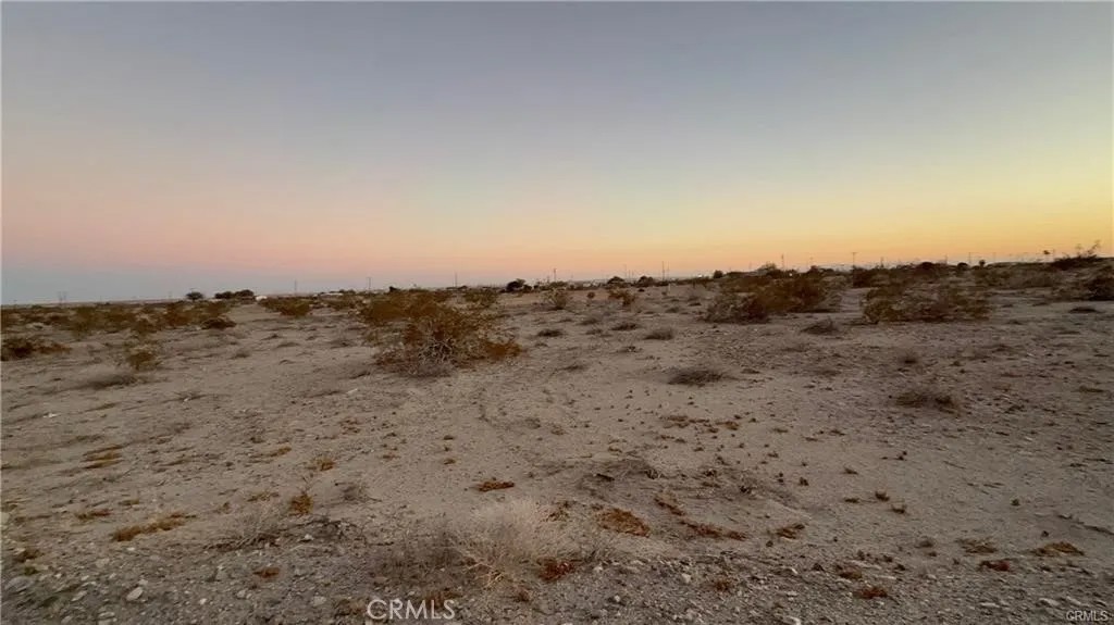 1151 Desert Kist