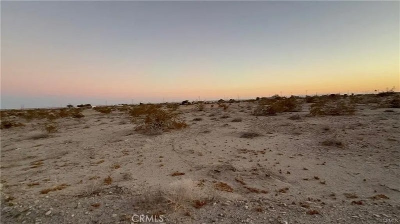 1151 Desert Kist