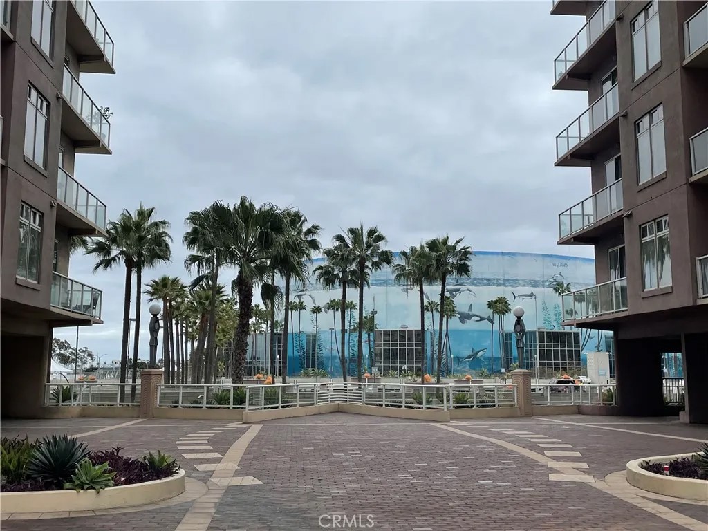 488 E Ocean 1518