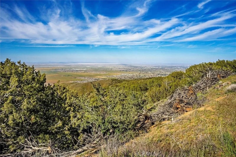 48725 Shallow Springs Road North