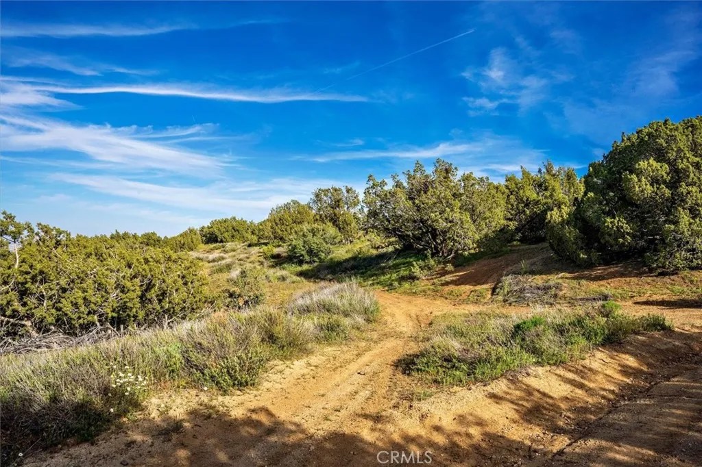 48725 Shallow Springs Road North