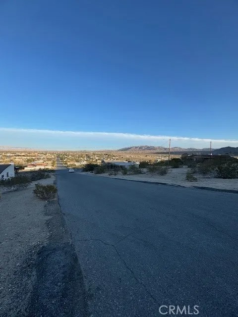 0 Cactus