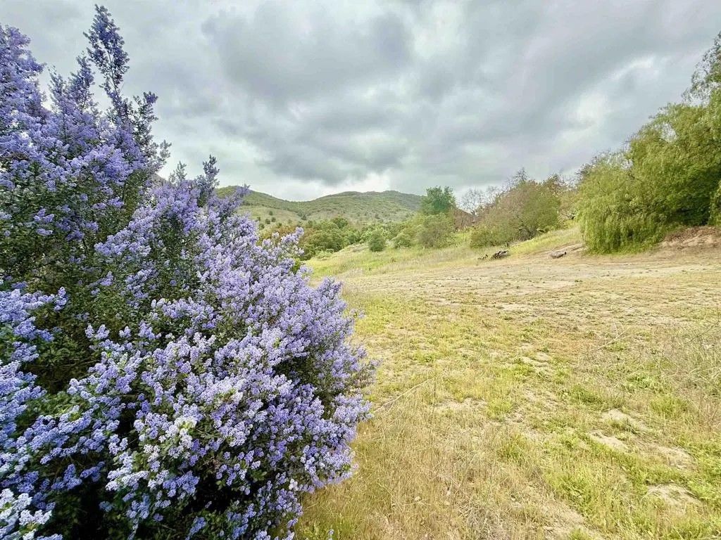 Photo of 0 Alex, Fallbrook, CA 92028 (MLS # NDP2503940)