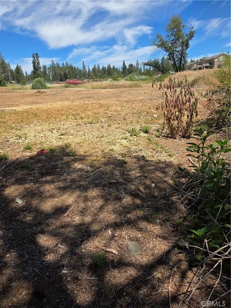 Photo of 1572 Adams RD, Paradise, CA 95969 (MLS # OR26155759)