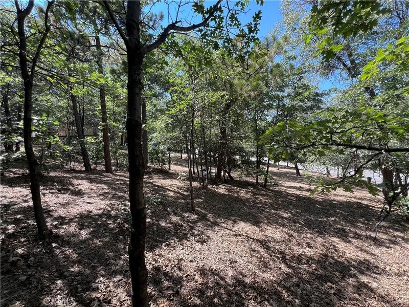 28195 N Bay