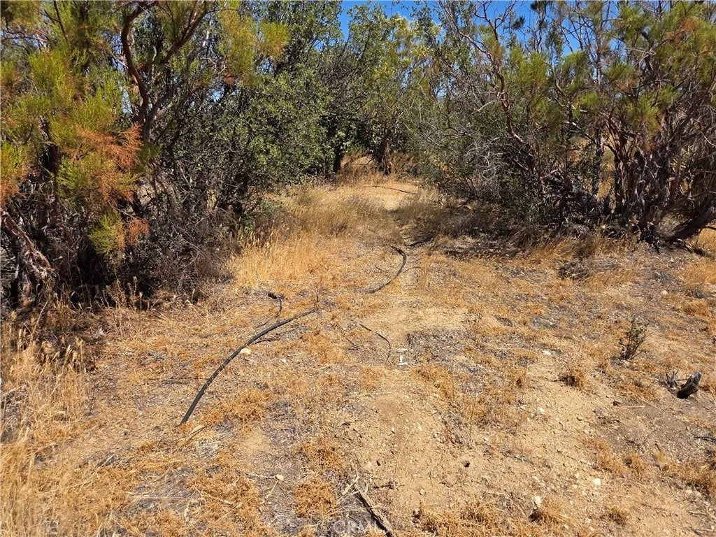Photo of 4 Terwilliger, Anza, CA 92539 (MLS # SW26157892)