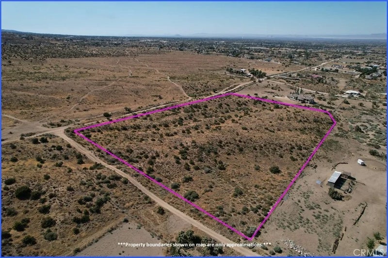 8 Mesquite