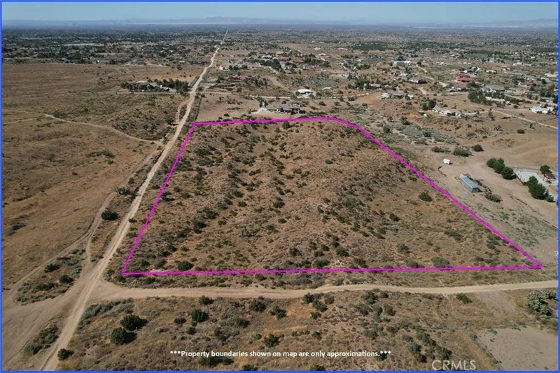 8 Mesquite