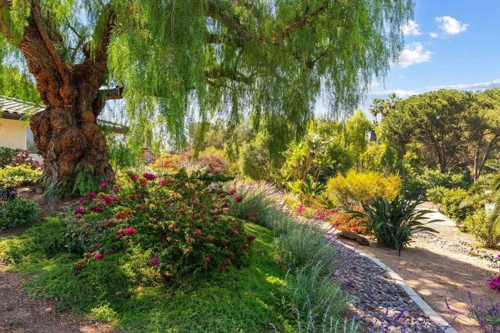 20063 Elfin Forest Lane