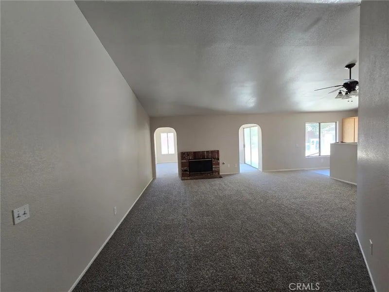 14572 Agave