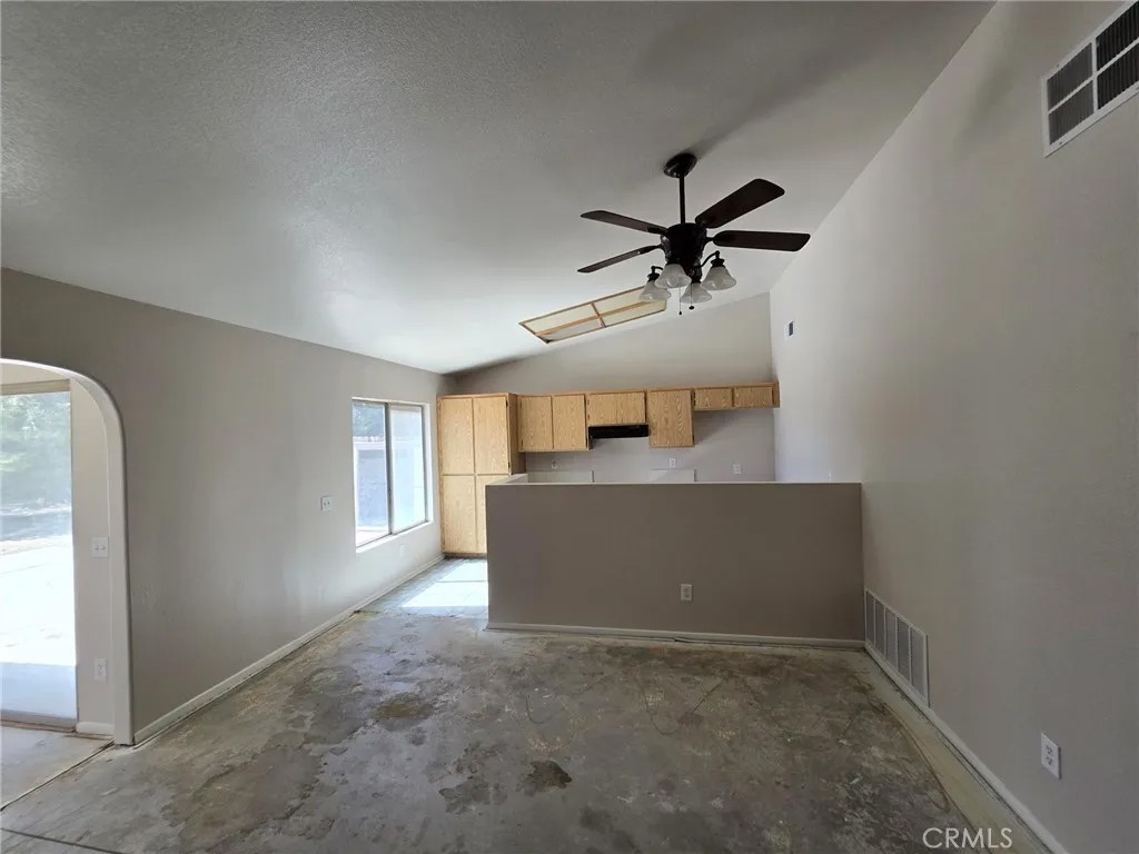 14572 Agave