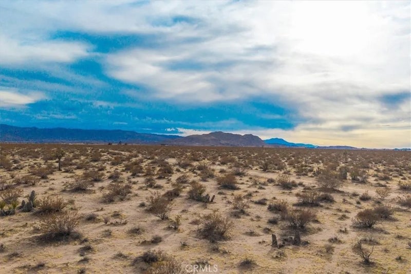 62155 Moonlight Mesa