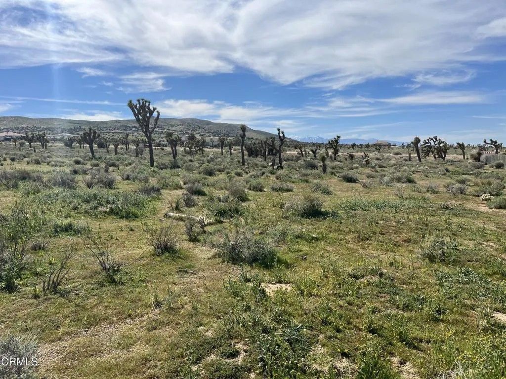 Photo of 0 Bowen Ranch, Apple Valley, CA 92308 (MLS # P1-26100)