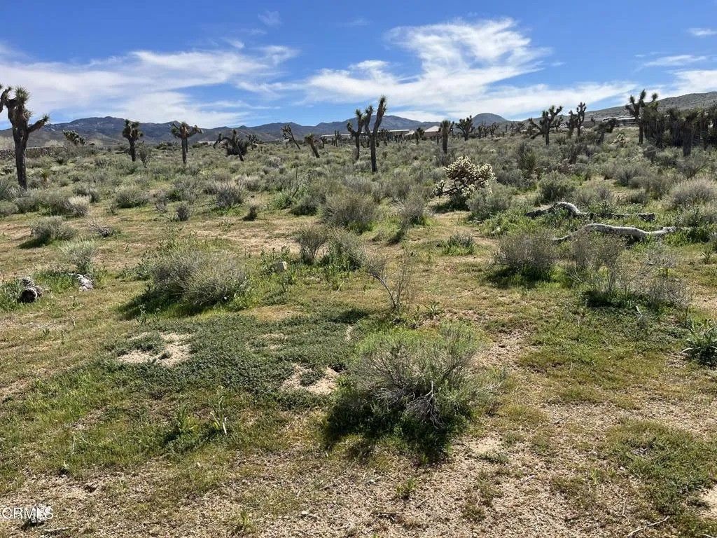 Photo of 0 Bowen Ranch, Apple Valley, CA 92308 (MLS # P1-26100)
