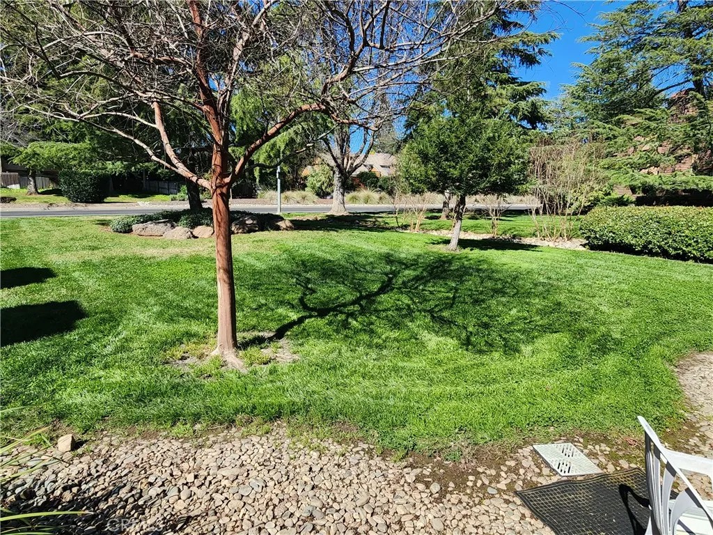2820 Pennyroyal