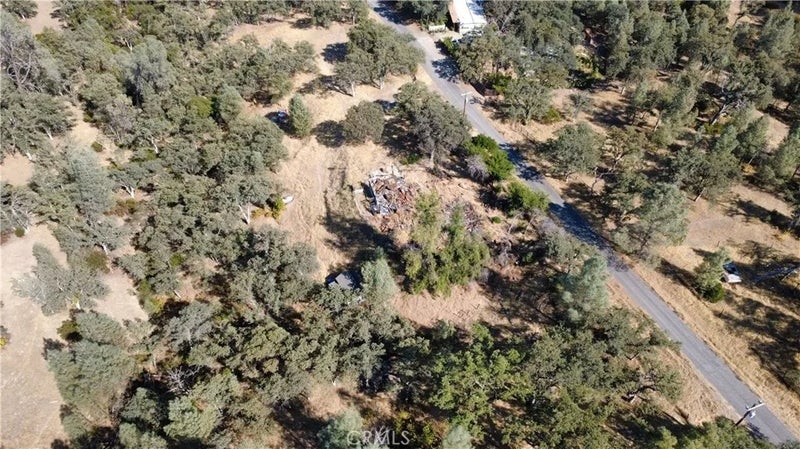 17152 Muledeer