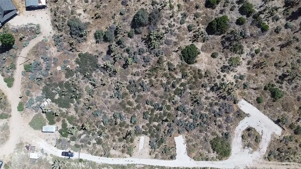 0 Mesquite