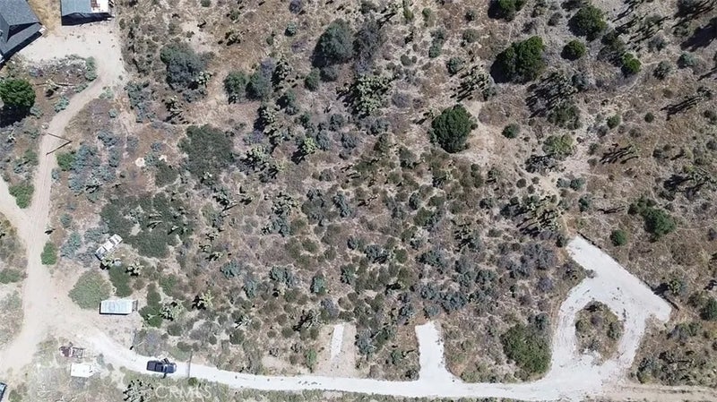 0 Mesquite
