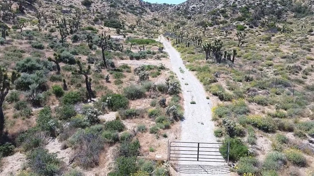 0 Mesquite