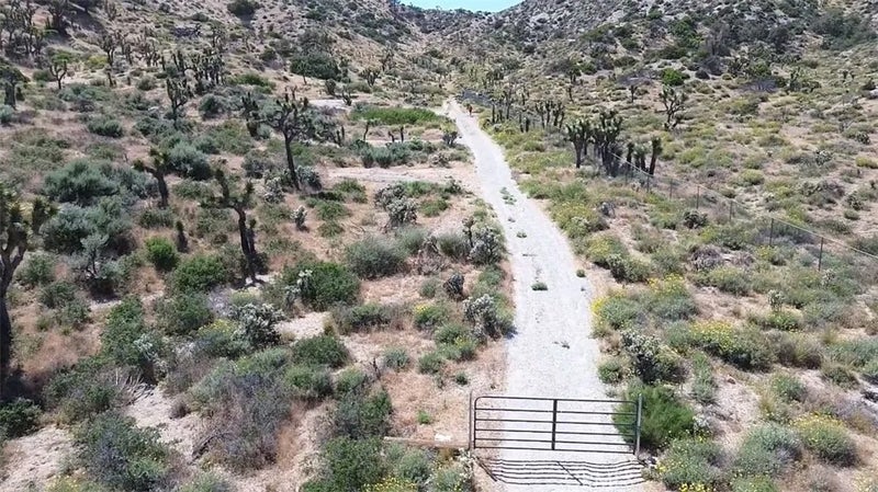 0 Mesquite