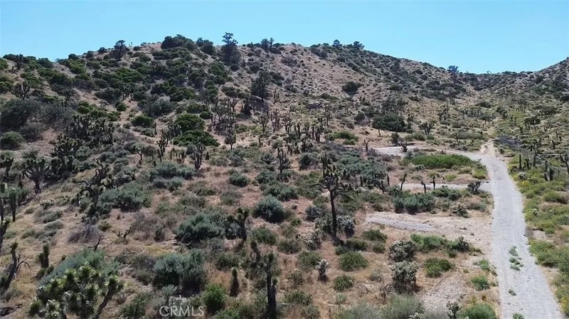 0 Mesquite