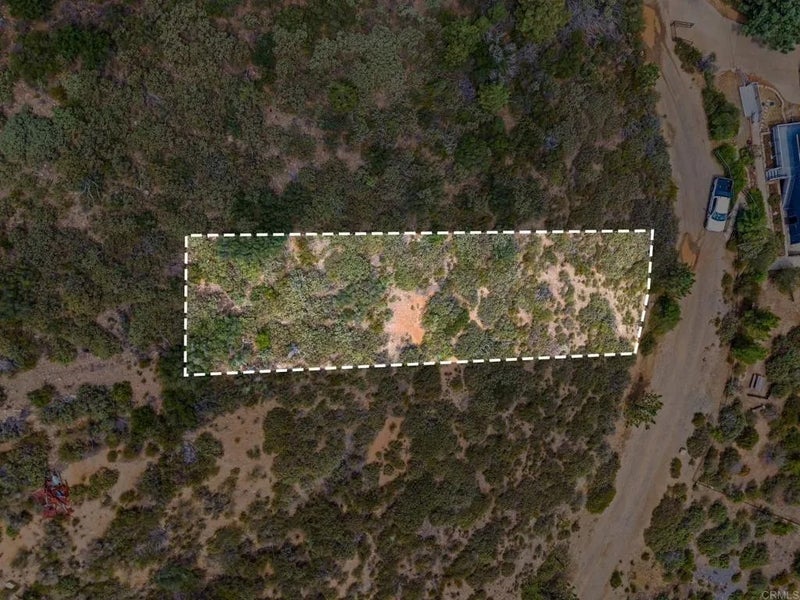 Manzanita
