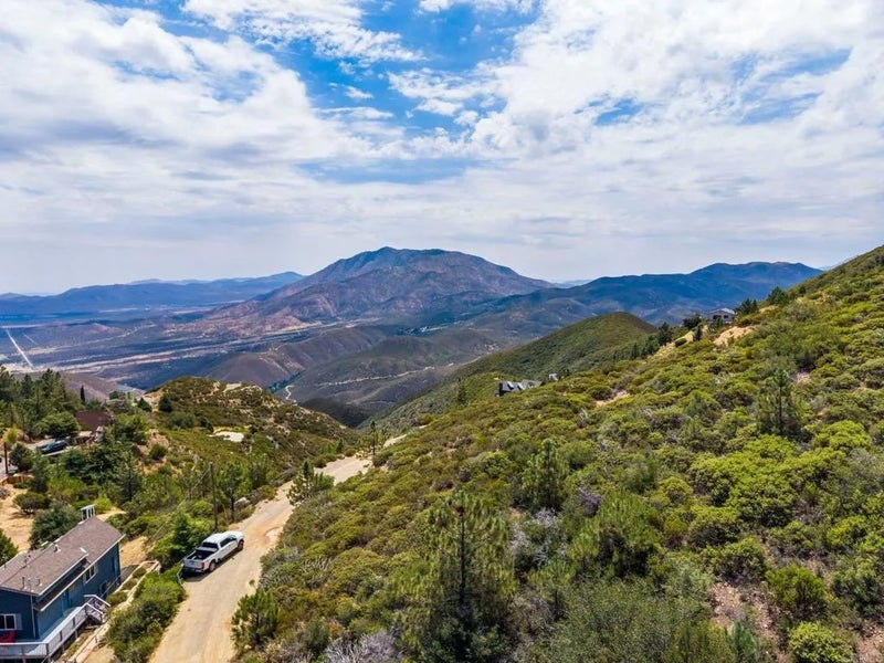 Manzanita