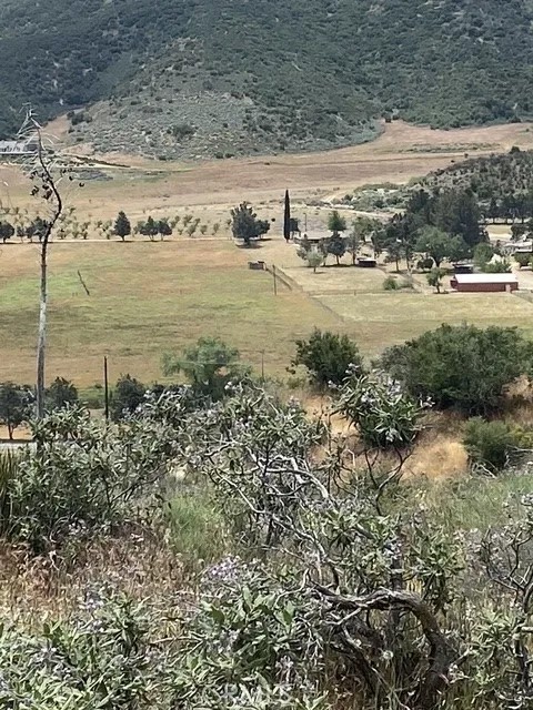 11039 Elizabeth Lake