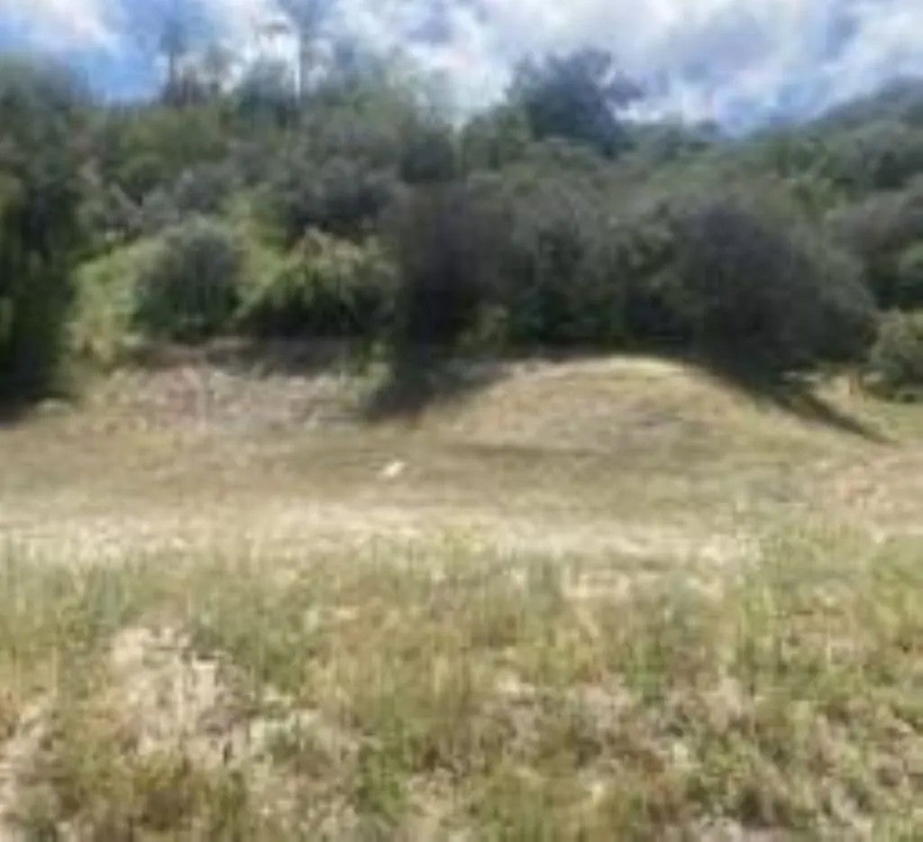0 Mint Canyon #1