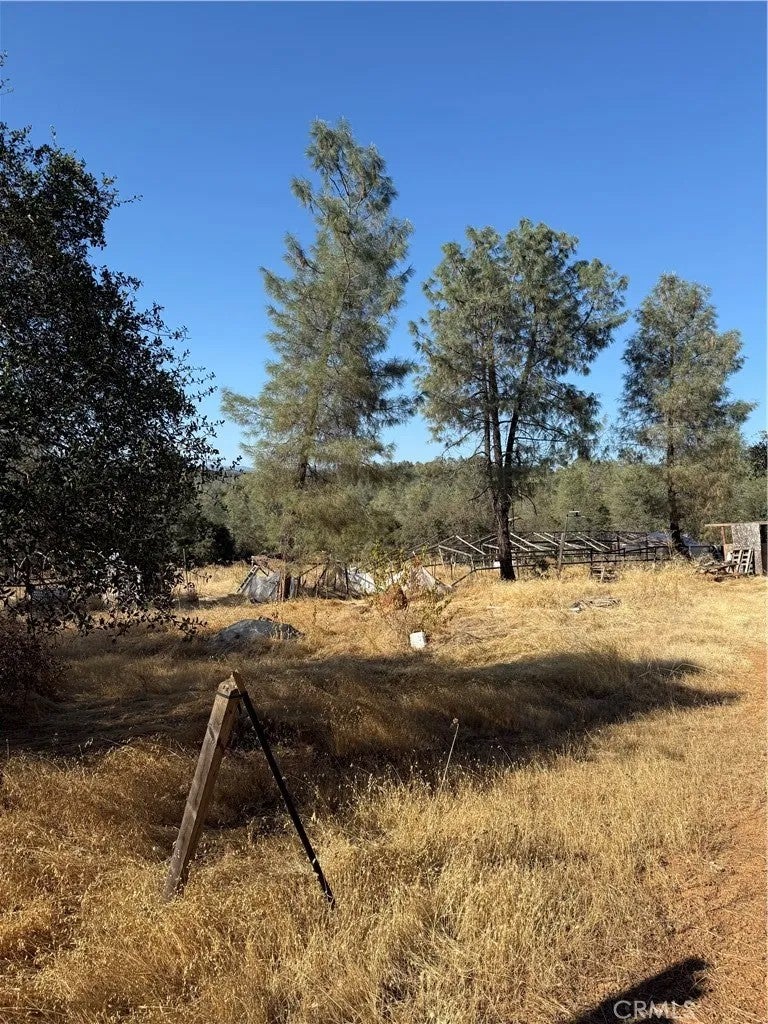 0 Oregon Gulch