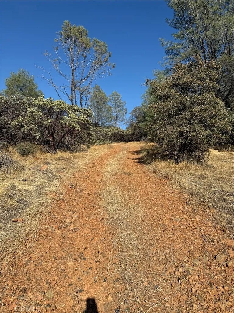 0 Oregon Gulch