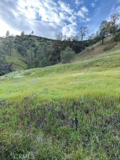 1982 New Long Valley