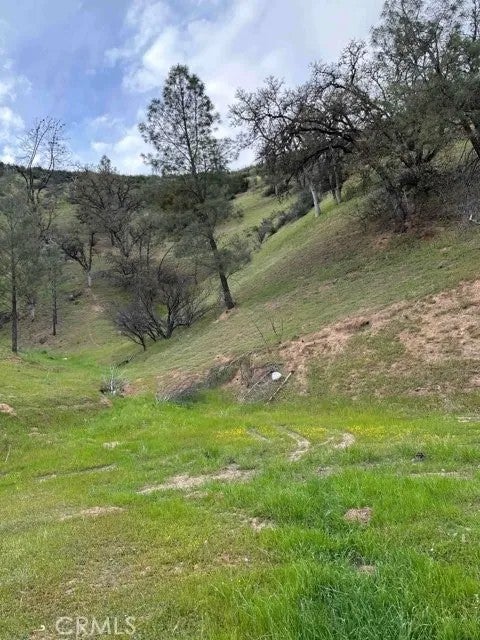 1982 New Long Valley