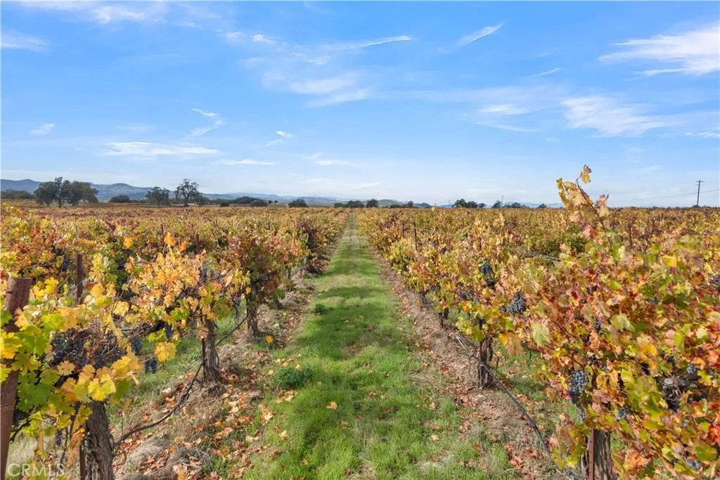 53500 Bradley Lockwood