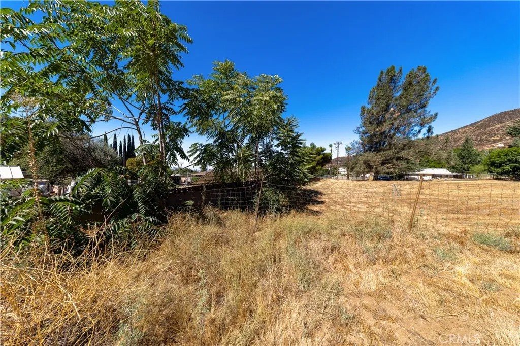 9232 Bonita