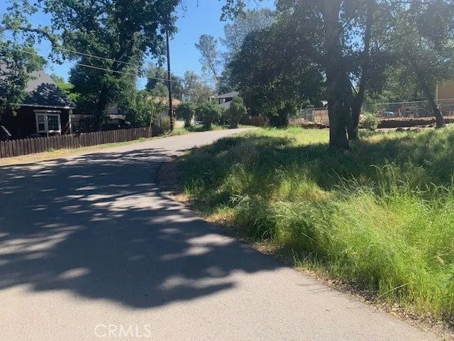 14245 Woodland
