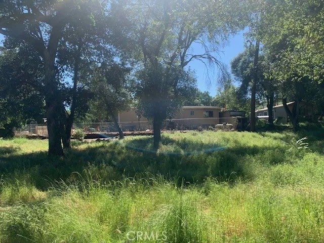 14245 Woodland