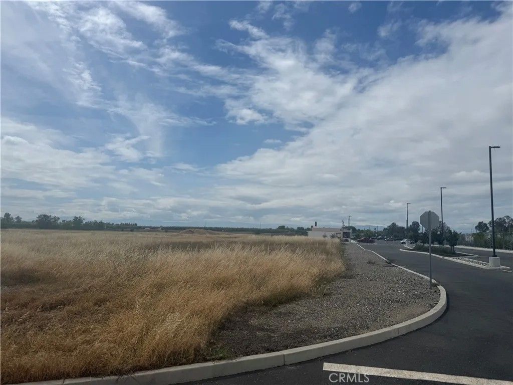 Photo of 0 Cortina, Orland, CA 95963 (MLS # SN26082697)