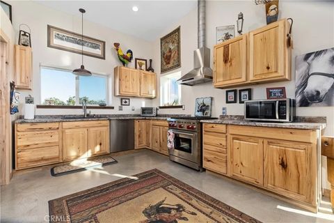 Tiny photo for 4265 Nickel Creek Road, San Miguel, CA 93451 (MLS # NS25258988)