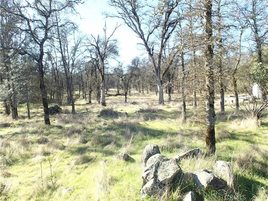 0 Stoney Oaks